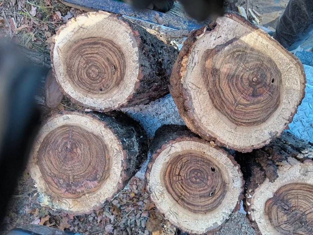 Affordable yard maintenance for residential properties in Goodman, MO by M&M firewood