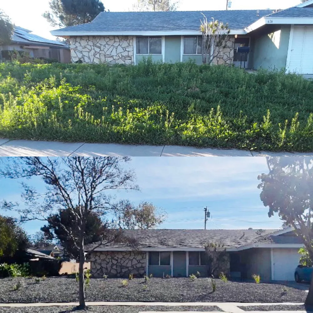 Professional yard maintenance in Corona, CA - M&M Garden Landscape