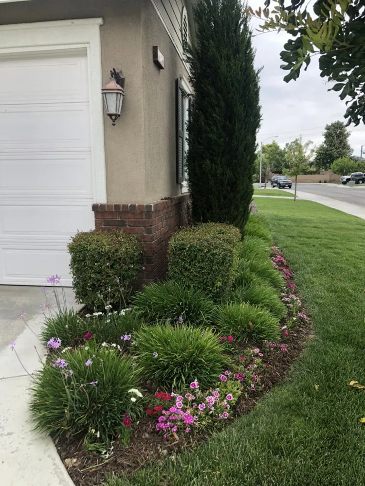 Expert yard maintenance for homes across Corona, CA - M&M Garden Landscape