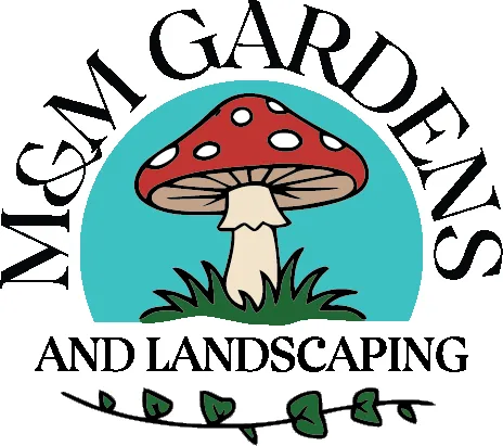 Professional lawn care service in San Antonio, TX by M&M Gardens & Landscaping