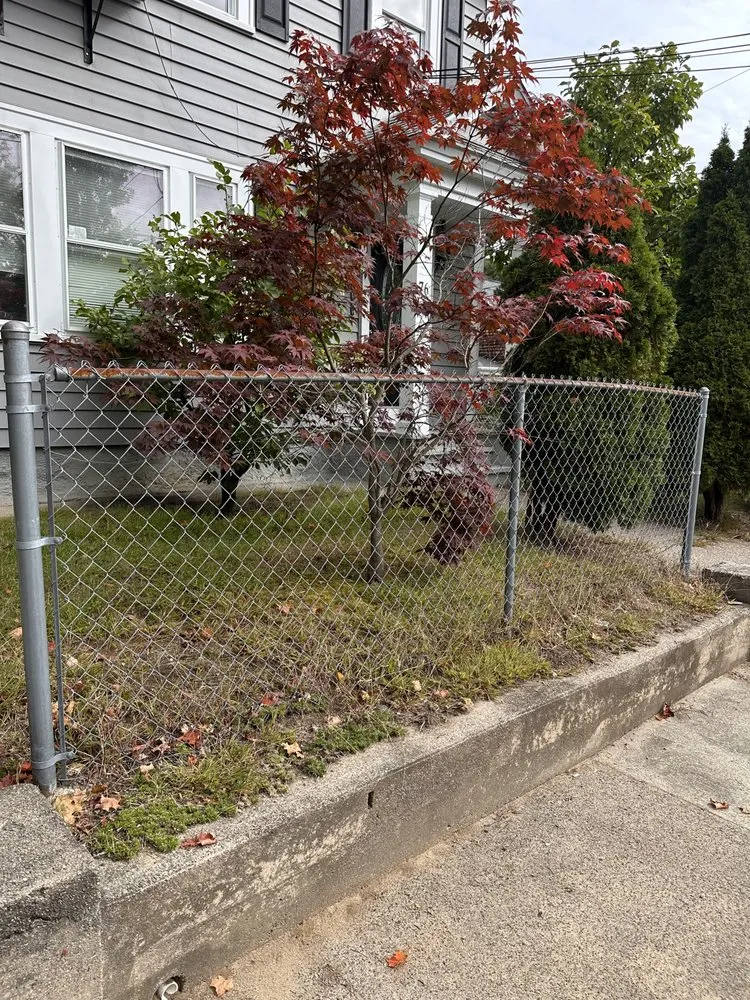 Professional lawn care service in Sagamore Beach, MA - M&M Junk Removal And Odd Jobs