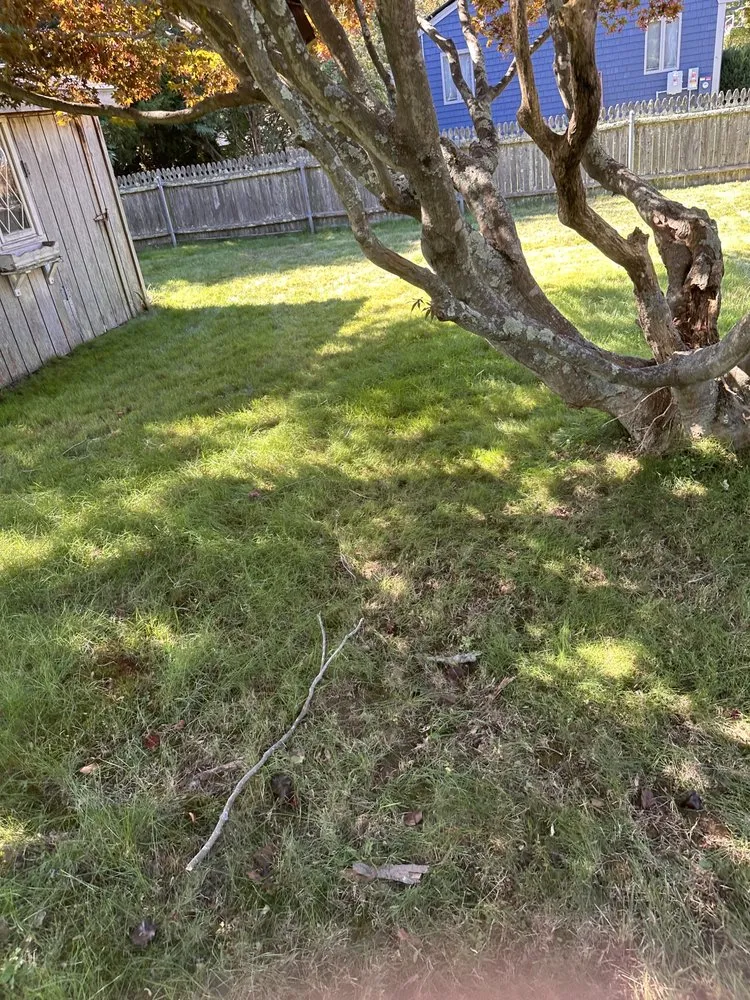 Top-rated garden landscaping for outdoor upgrades across Sagamore Beach, MA - M&M Junk Removal And Odd Jobs