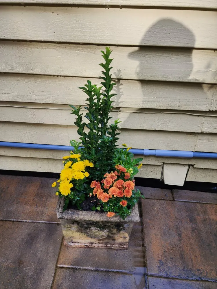 Expert outdoor landscaping experts serving Sumner, WA - M&M Landscape & More