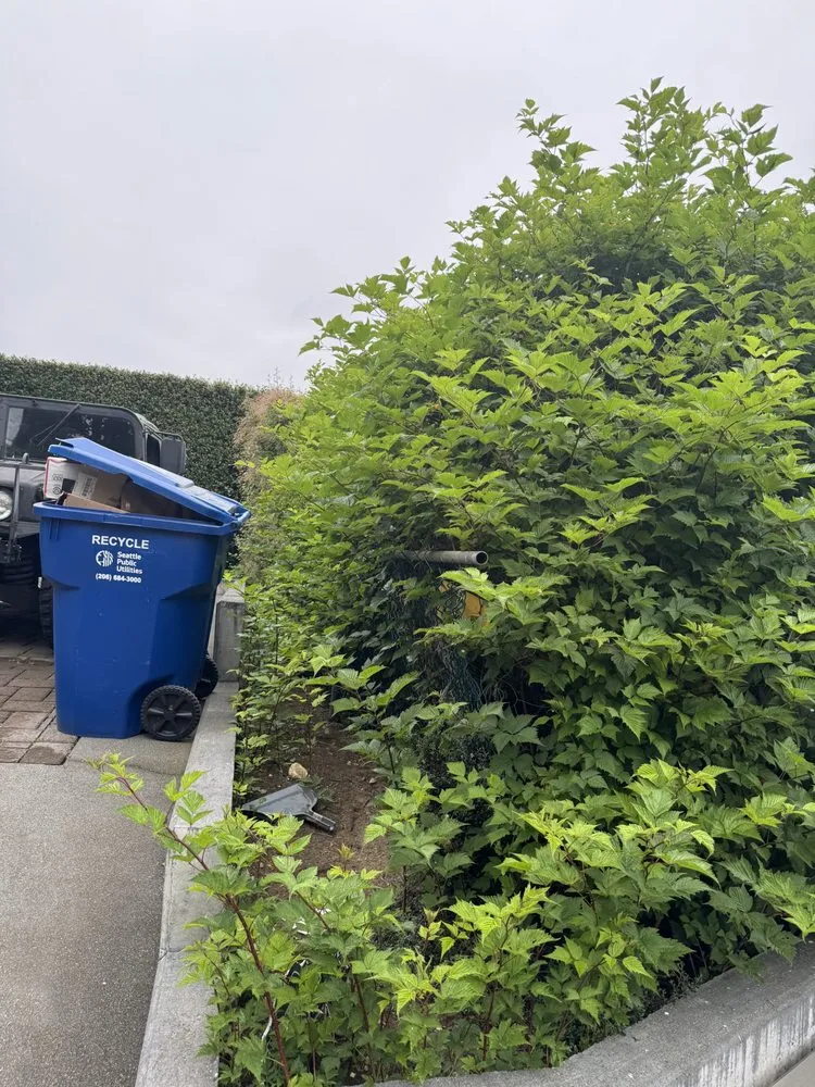 Expert yard maintenance in Sumner, WA - M&M Landscape & More