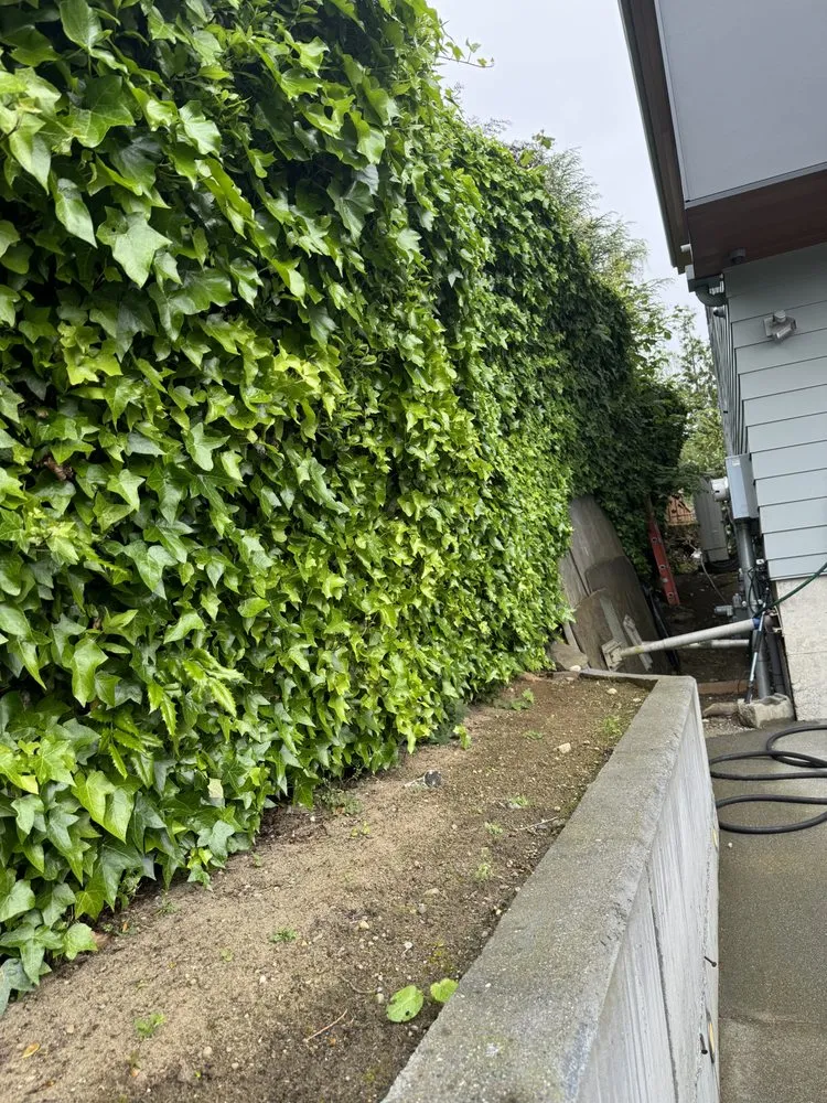 Reliable garden landscaping experts serving Sumner, WA - M&M Landscape & More