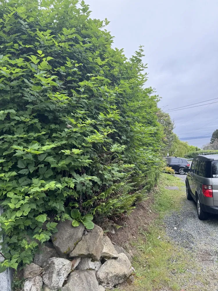 Local outdoor landscaping in Sumner, WA by M&M Landscape & More