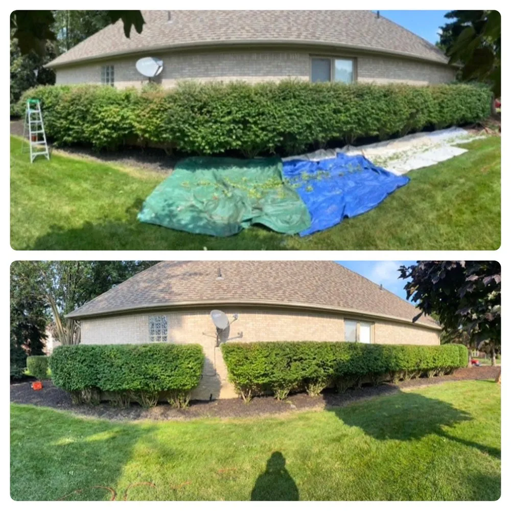 Custom landscaping services in Sterling Heights, MI - M&M Landscape Design