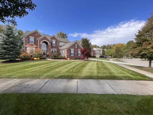 M&M Landscape Design Logo