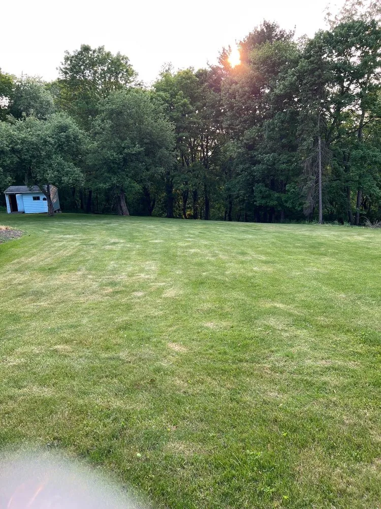 Affordable lawn care service for outdoor upgrades in Springdale, PA by M&M Landscape Service