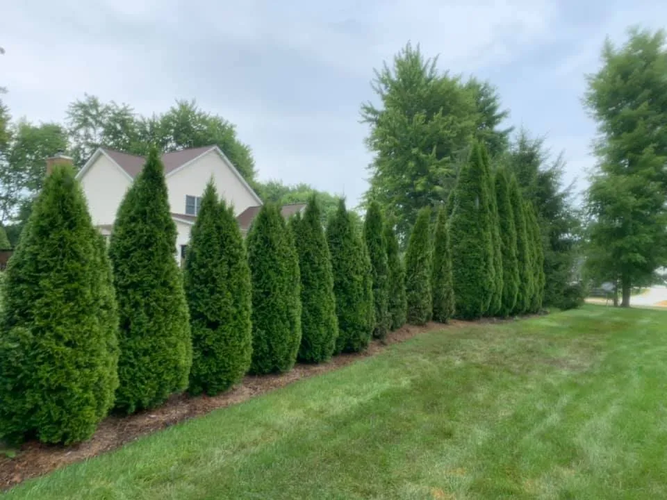 Top-rated yard cleanup service in Chagrin Falls, OH - M&M Landscape services