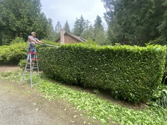 M&M Landscaping & Construction Logo