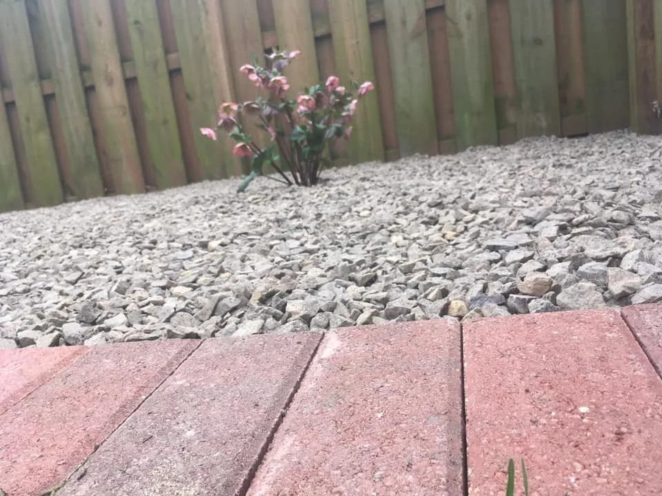 Affordable yard cleanup service in Taylorville, IL by MM Landscaping and Design