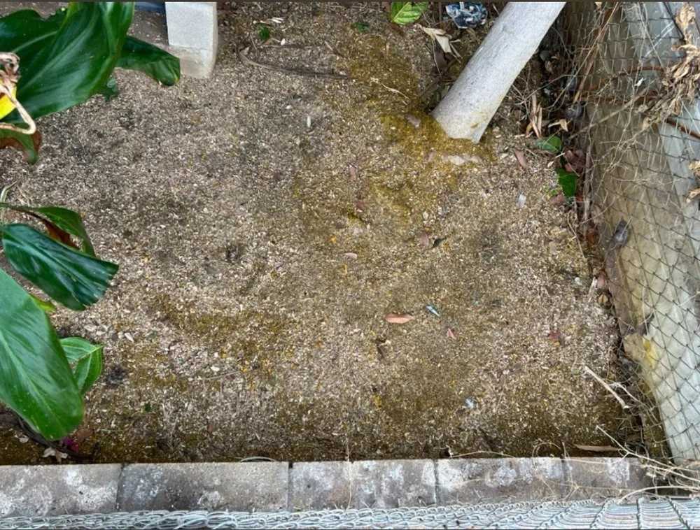 Expert yard maintenance for residential properties across Waipahu, HI - M&M Landscaping and Yard Services