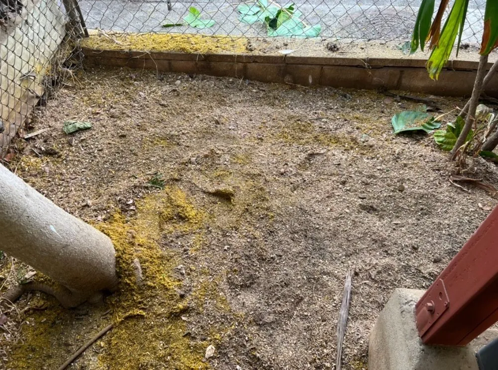 Trusted landscape design with custom design in Waipahu, HI by M&M Landscaping and Yard Services