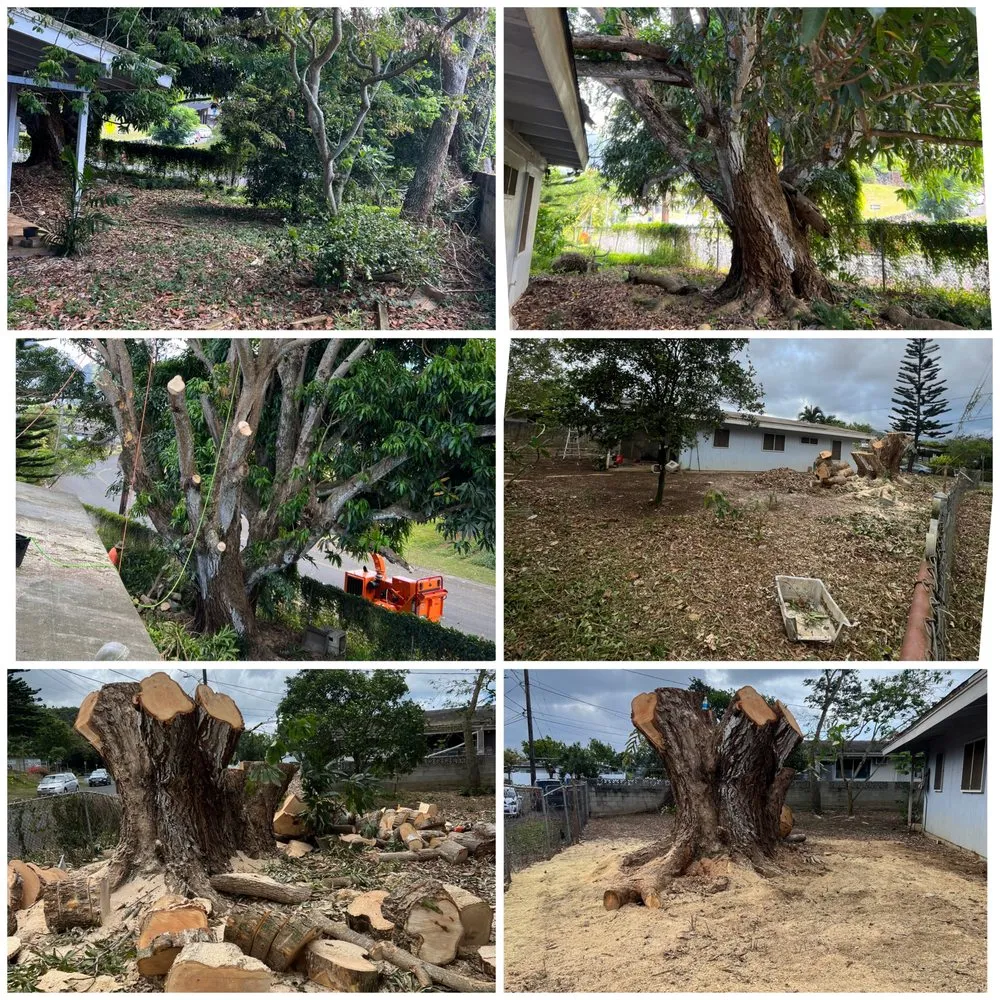 Local landscape design with custom design across Waipahu, HI - M&M Landscaping and Yard Services