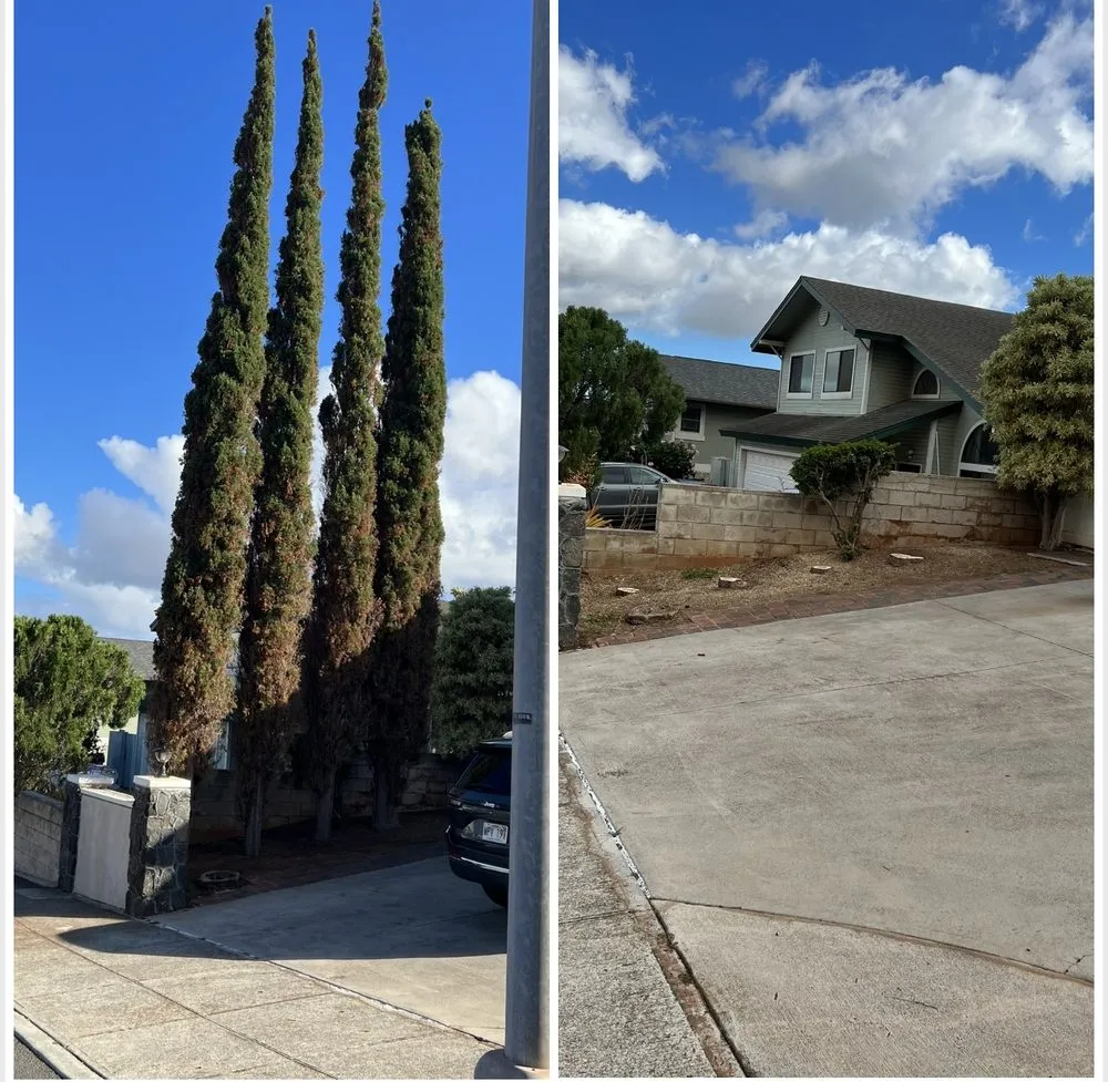 Custom outdoor landscaping for year-round maintenance across Waipahu, HI - M&M Landscaping and Yard Services