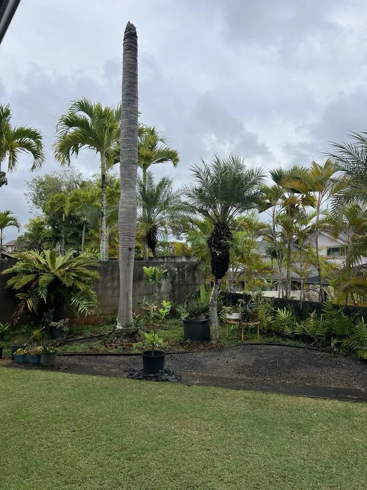 Expert garden landscaping experts serving Waipahu, HI - M&M Landscaping and Yard Services