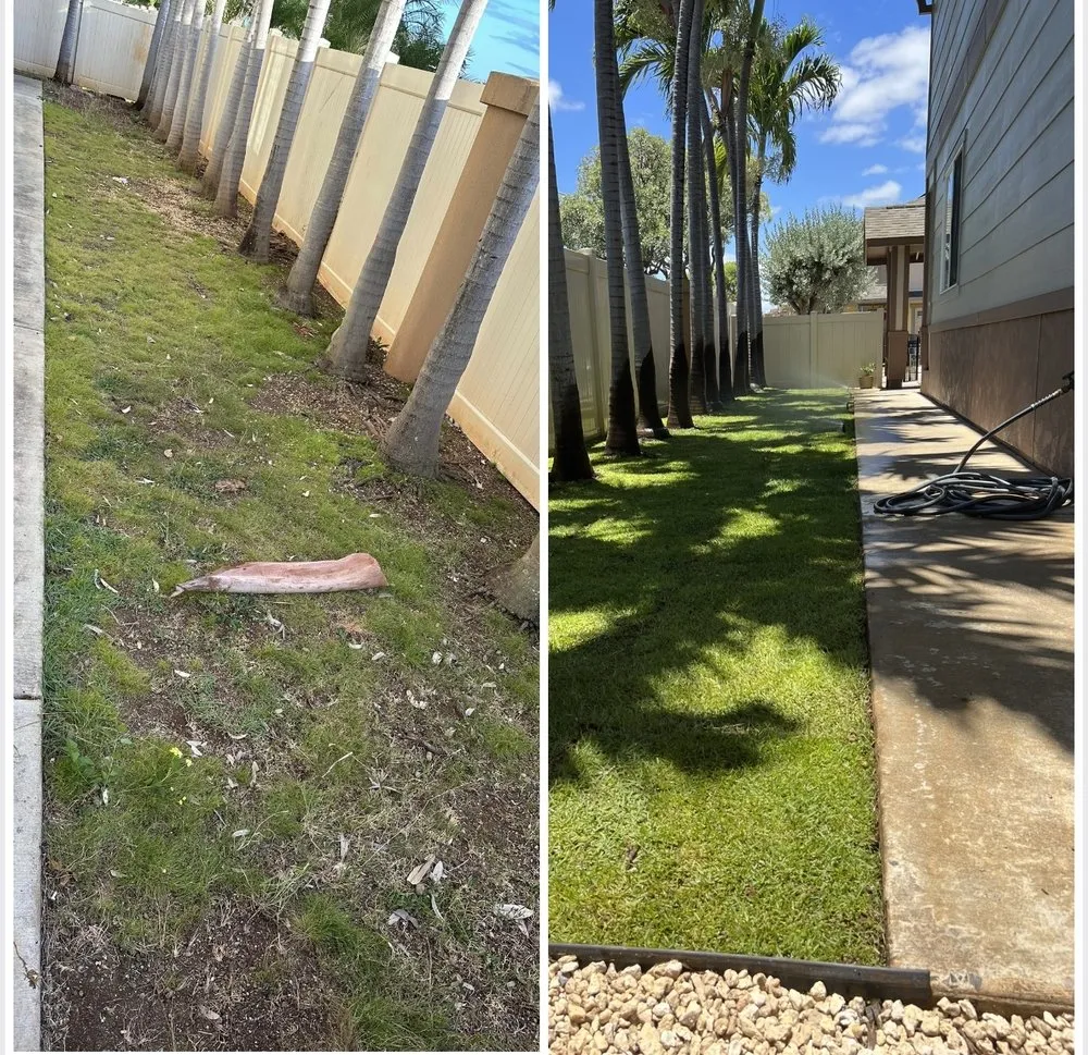 Expert landscaping services for year-round maintenance in Waipahu, HI by M&M Landscaping and Yard Services