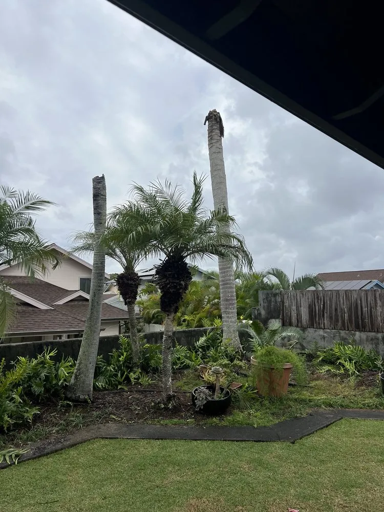 Top-rated lawn mowing service experts serving Waipahu, HI - M&M Landscaping and Yard Services