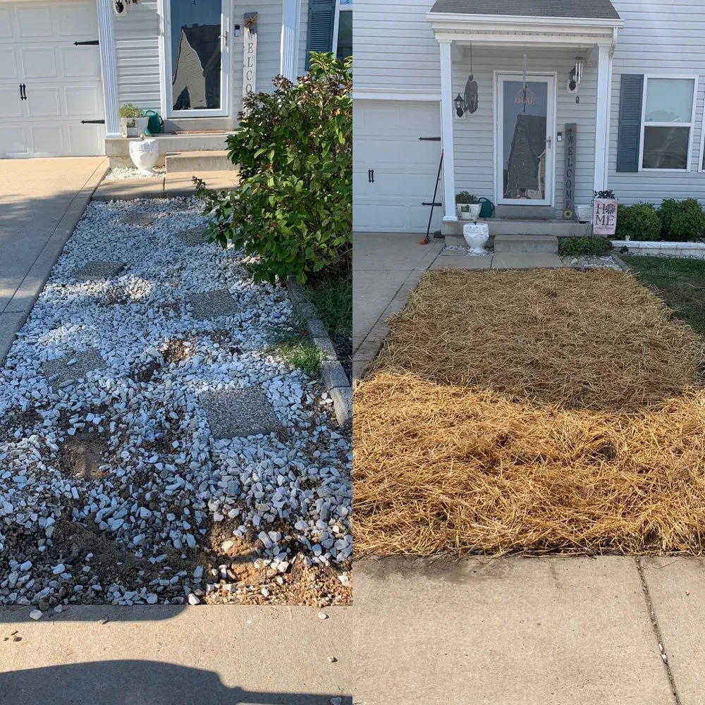 Top-rated yard cleanup service in Festus, MO - MM Landscaping