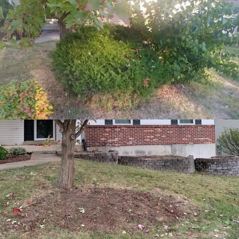 Custom yard maintenance experts serving Festus, MO - MM Landscaping