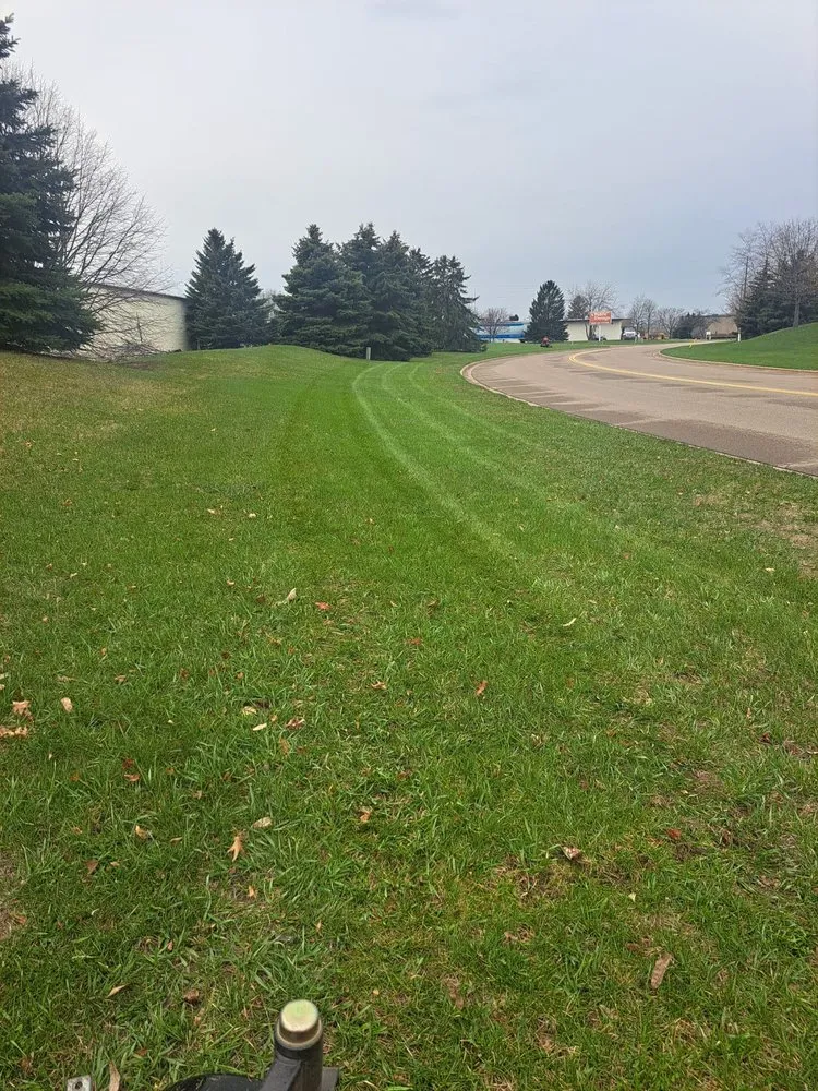 Trusted landscape design in Minneapolis, MN by MM Landscaping