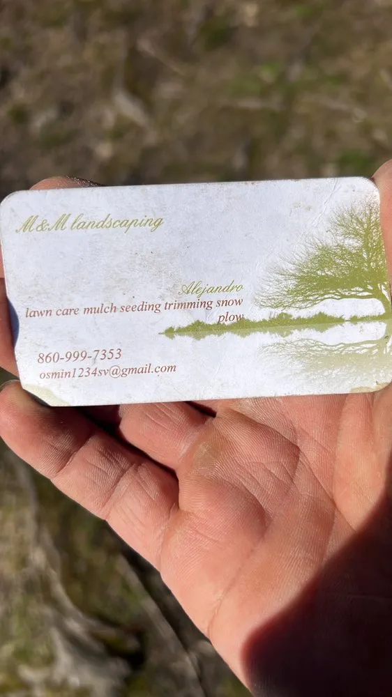 Local yard cleanup service for outdoor upgrades across City of Orange, NJ - M&M landscaping services