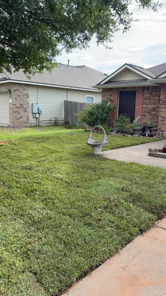 Local yard cleanup service for residential properties across Taylor, TX - M&M Landscaping Services