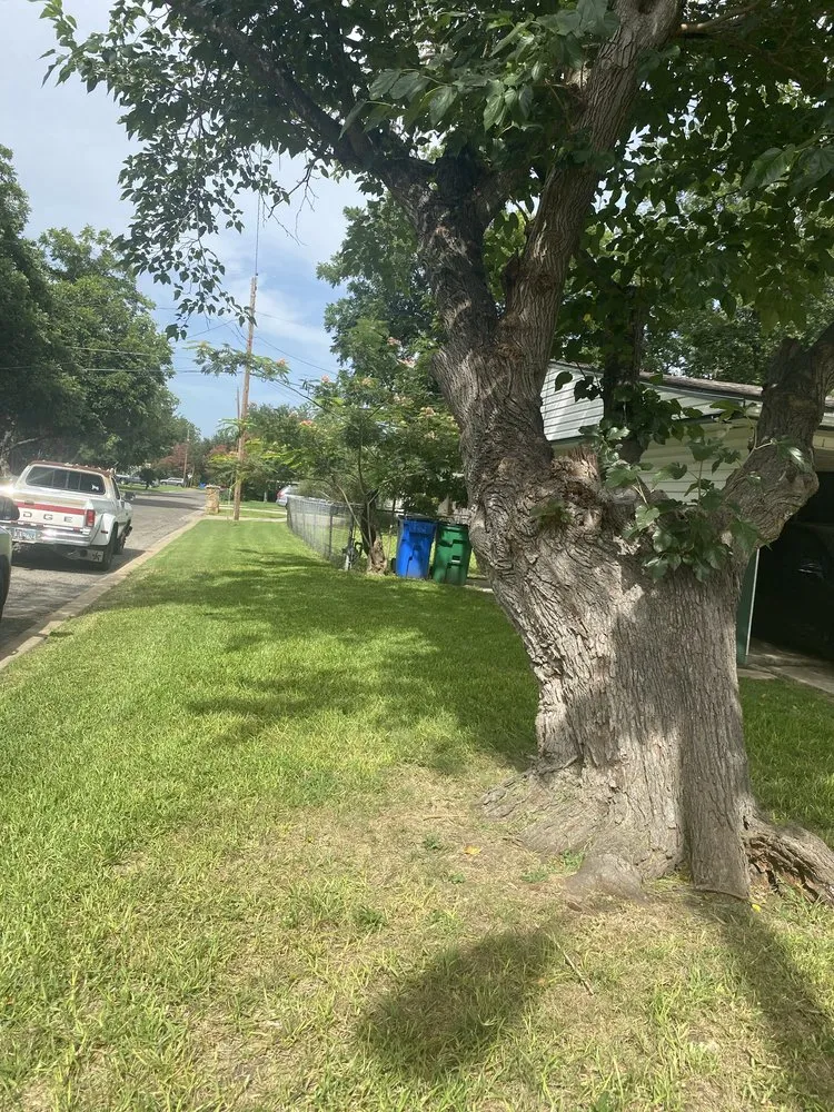 Trusted residential landscaping experts serving Taylor, TX - M&M Landscaping Services