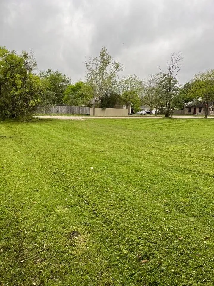 Top-rated lawn care service for residential properties across Taylor, TX - M&M Landscaping Services