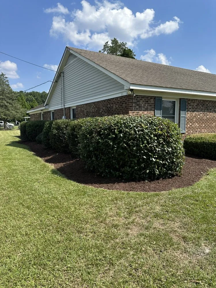 Trusted lawn mowing service for residential properties in Walstonburg, NC by M&M Landscaping