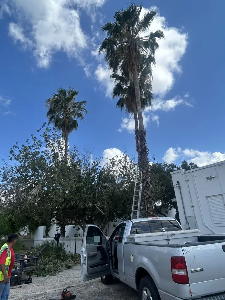 Affordable lawn care service experts serving Laredo, TX - M&M