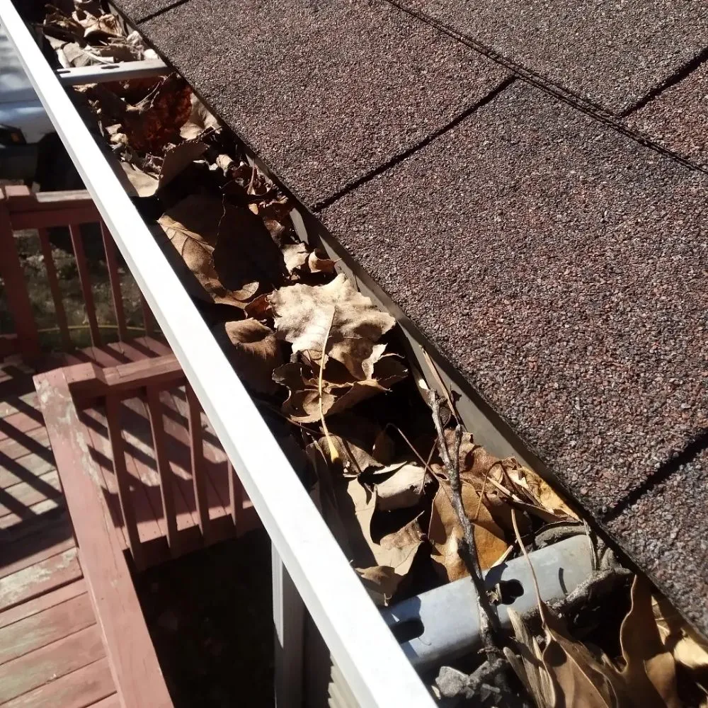 Custom lawn care service experts serving Ripley, TN - Mm Lawn & Landscaping