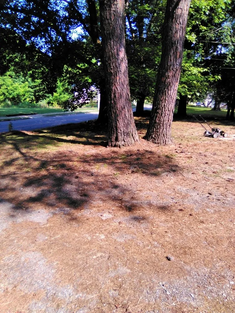 Custom landscape design for outdoor upgrades across Ripley, TN - Mm Lawn & Landscaping