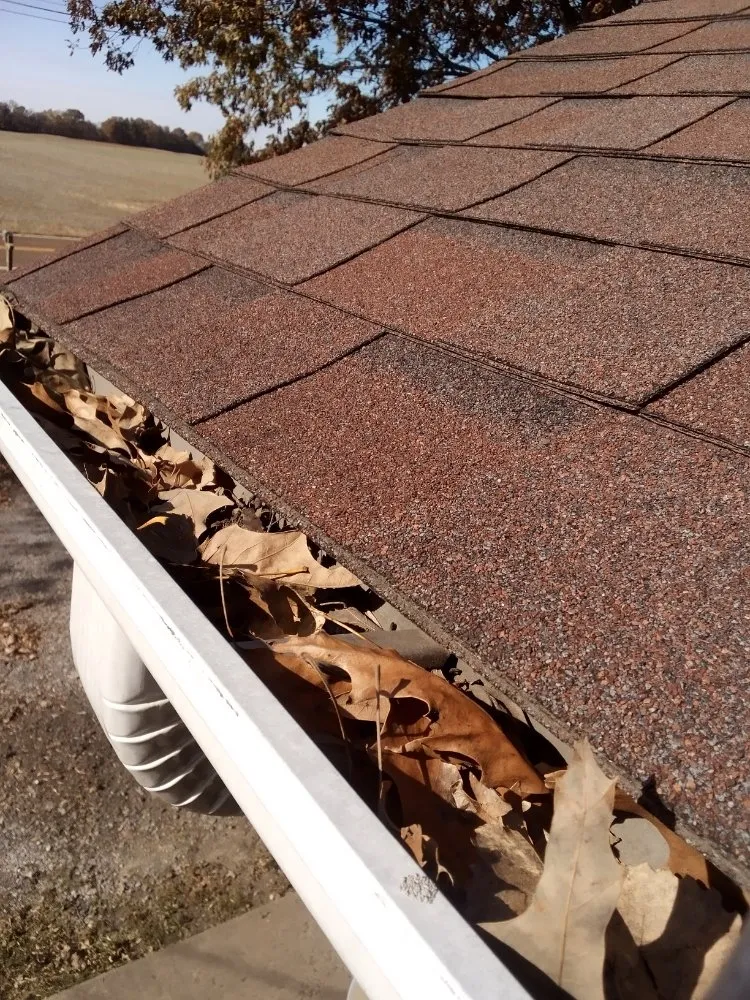 Local garden landscaping in Ripley, TN - Mm Lawn & Landscaping