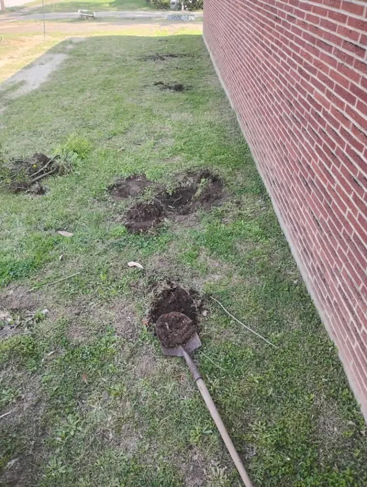 Custom landscape installation for beautiful yards in Ripley, TN by Mm Lawn & Landscaping