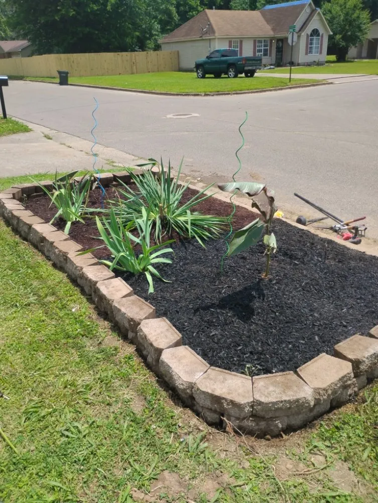 Expert residential landscaping near you across Ripley, TN - Mm Lawn & Landscaping