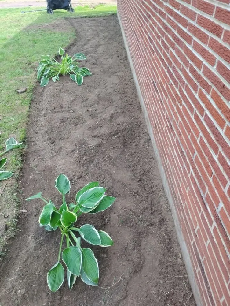 Top-rated landscaping services in Ripley, TN by Mm Lawn & Landscaping