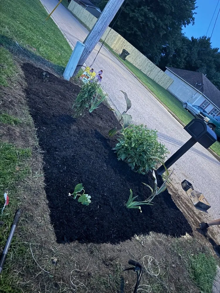 Top-rated garden landscaping for beautiful yards in Ripley, TN by Mm Lawn & Landscaping