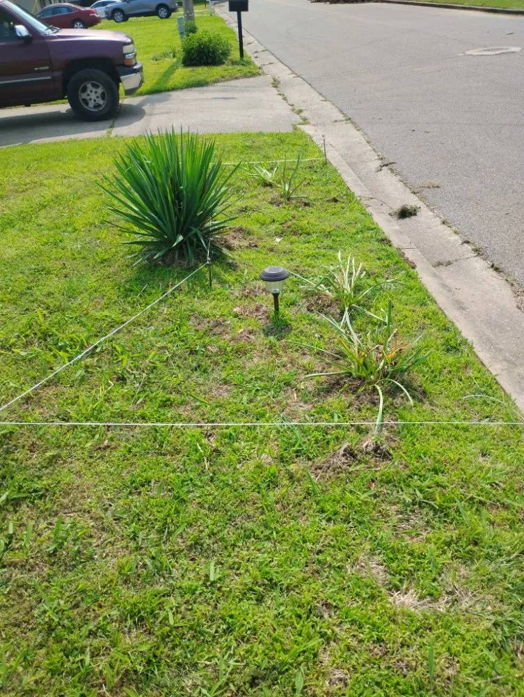 Trusted landscape design experts serving Ripley, TN - Mm Lawn & Landscaping