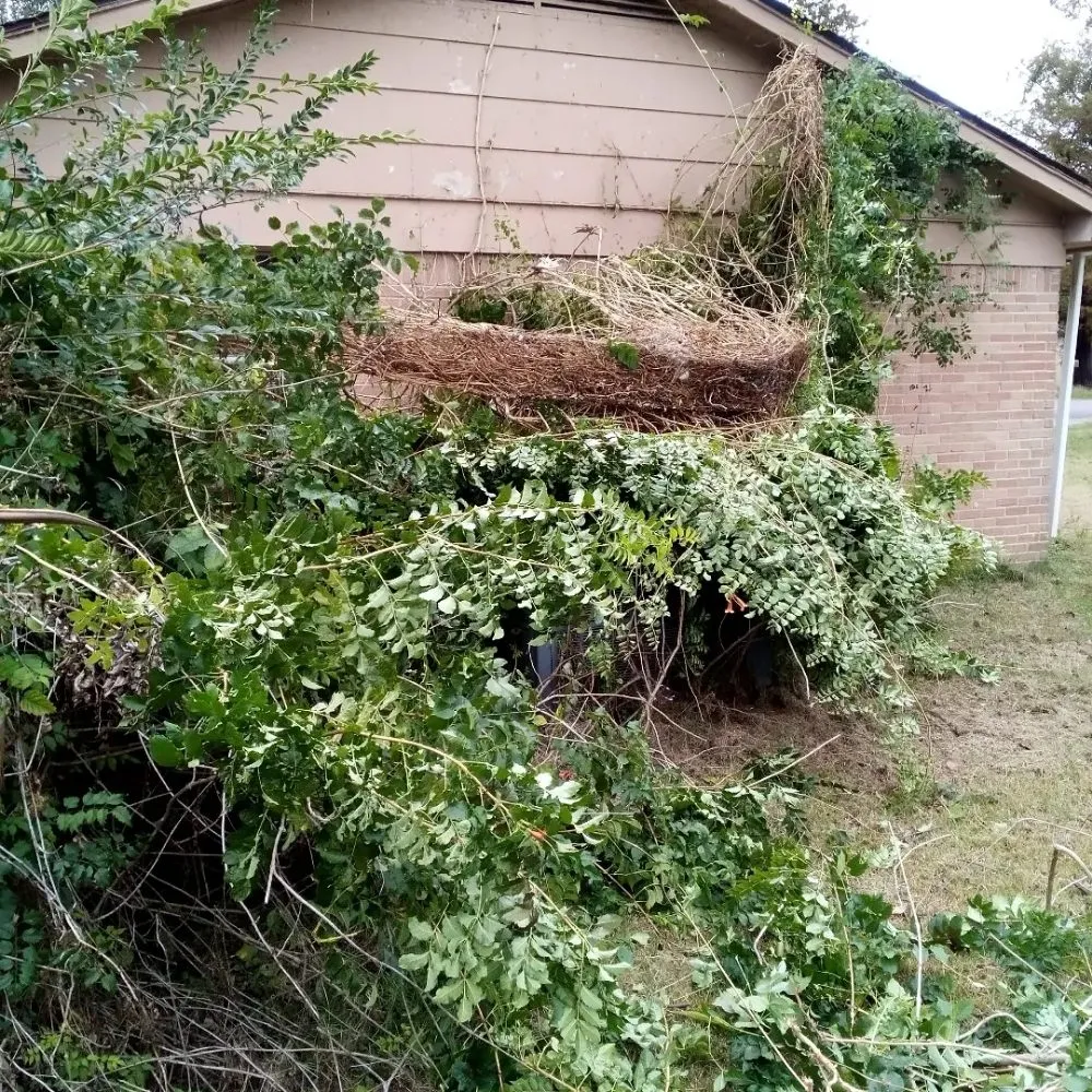 Professional landscape design in Ripley, TN by Mm Lawn & Landscaping