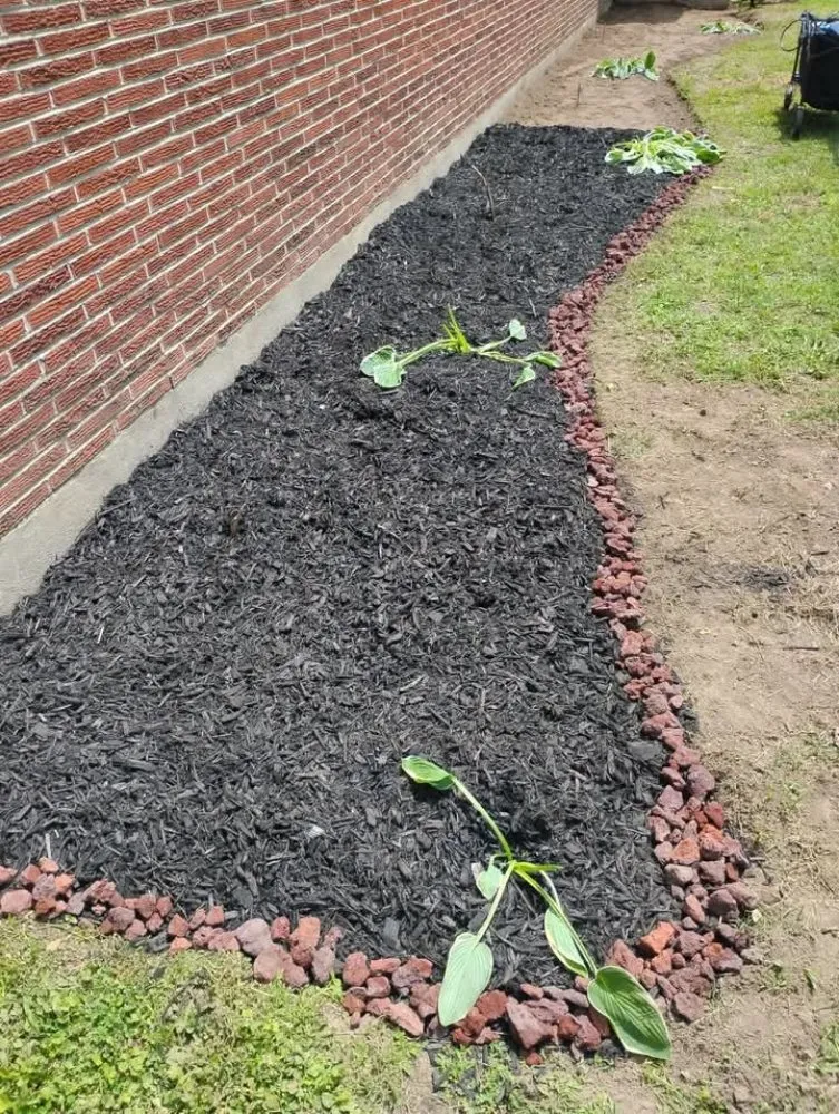 Trusted outdoor landscaping in Ripley, TN by Mm Lawn & Landscaping