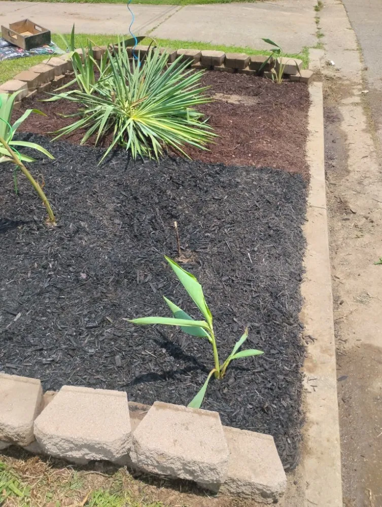 Custom lawn mowing service in Ripley, TN by Mm Lawn & Landscaping