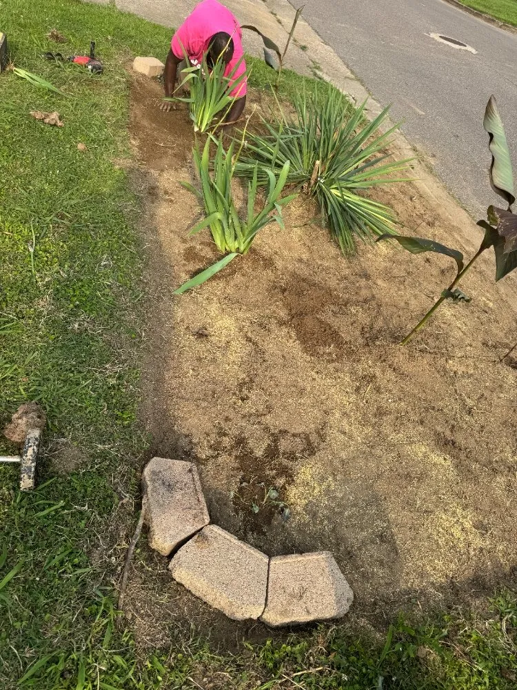 Affordable residential landscaping for residential properties across Ripley, TN - Mm Lawn & Landscaping