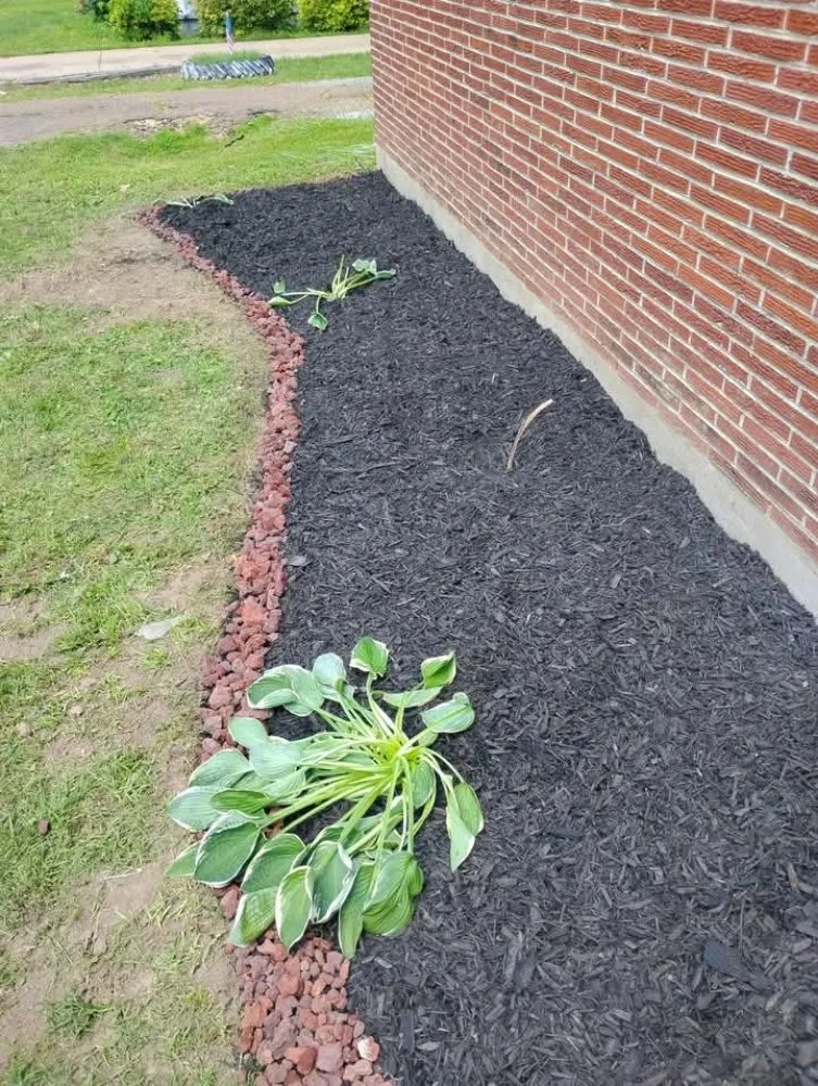 Expert lawn care service experts serving Ripley, TN - Mm Lawn & Landscaping