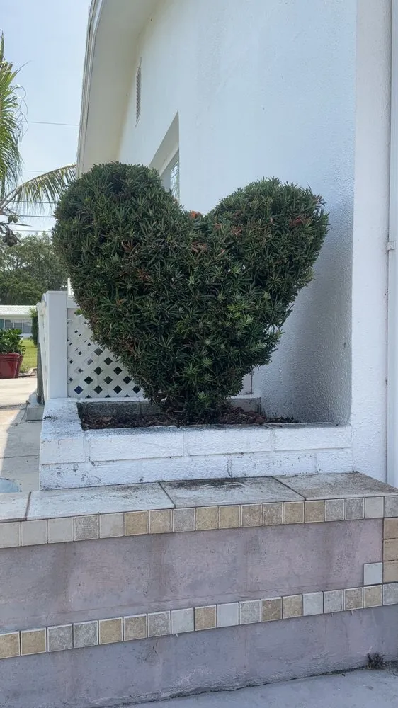 Professional yard maintenance in St. Petersburg, FL - M&M Lawn and Landscape