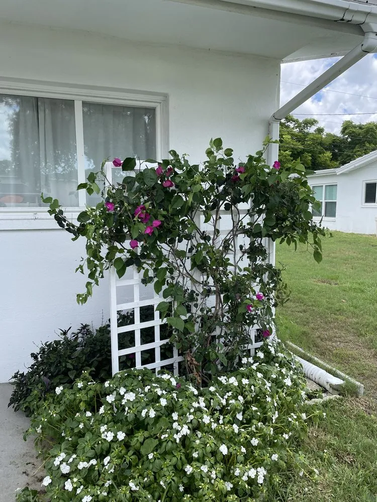 Custom outdoor landscaping for residential properties in St. Petersburg, FL by M&M Lawn and Landscape