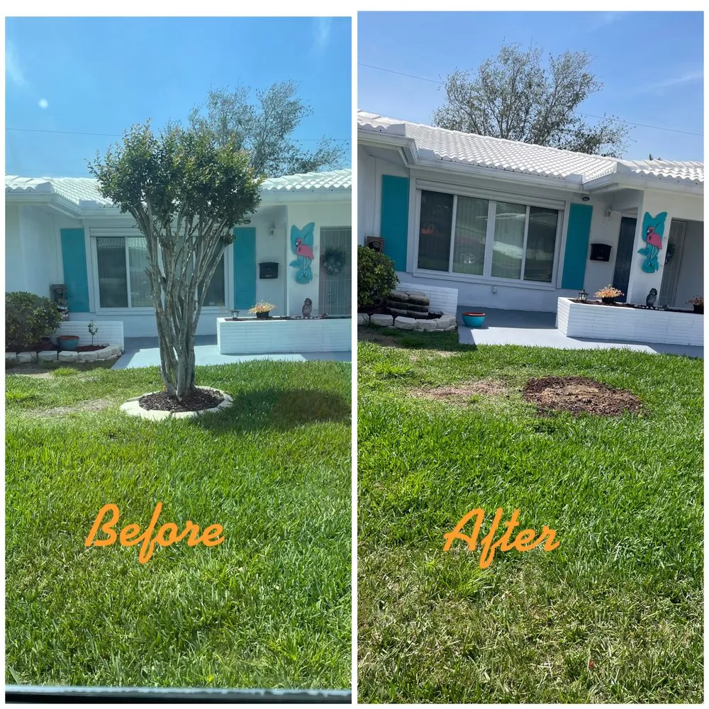 Top-rated landscape design in St. Petersburg, FL - M&M Lawn and Landscape