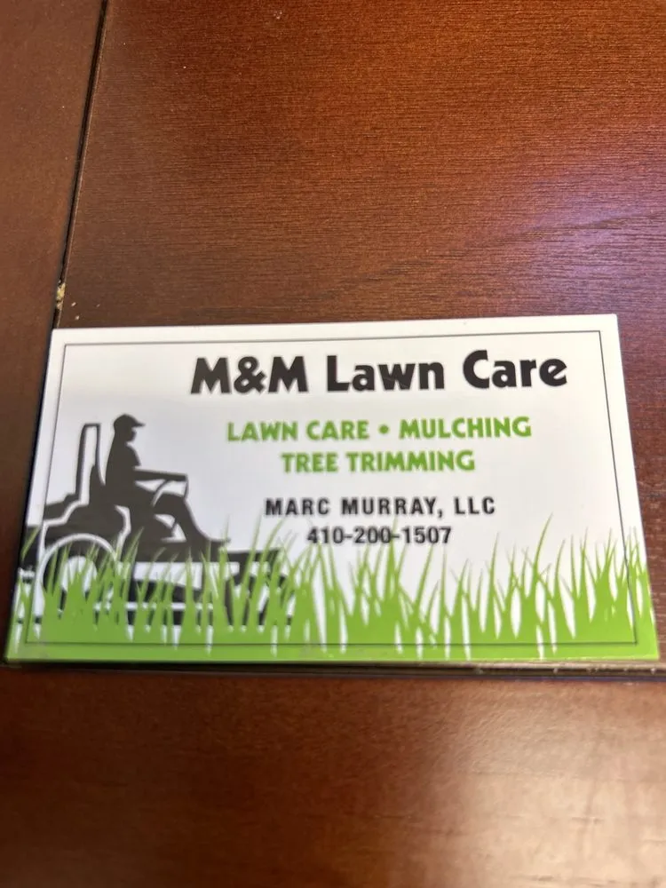 Local yard cleanup service near you across Centreville, MD - MM Lawn Care
