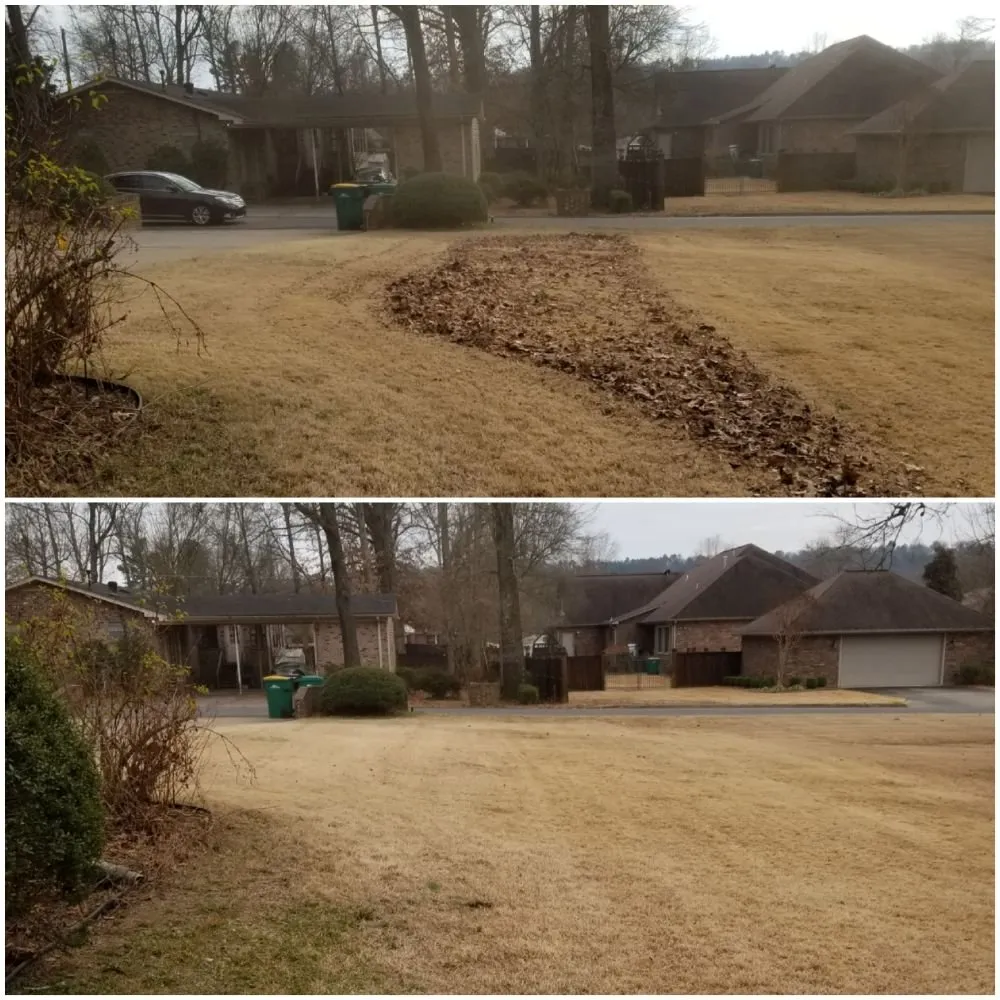 Professional outdoor landscaping experts serving Knoxville, AR - M&M Lawn Care